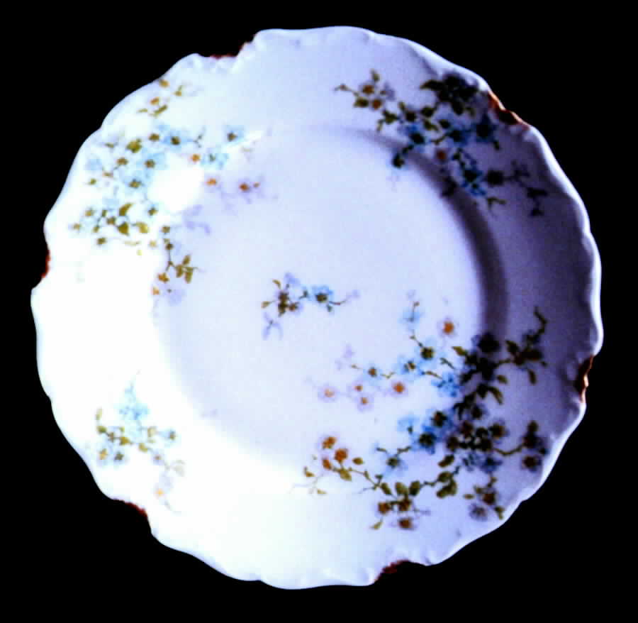 AHR353 Dinner Plate by Charles Ahrenfeldt-1