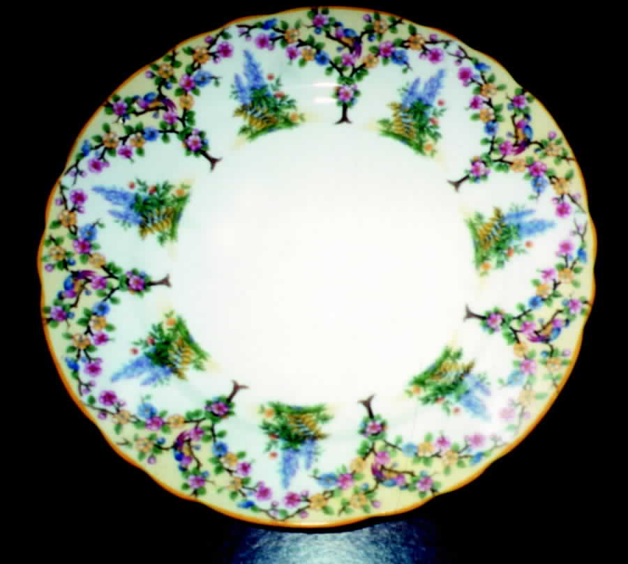B736 Dinner Plate by John  Aynsley & Sons-1