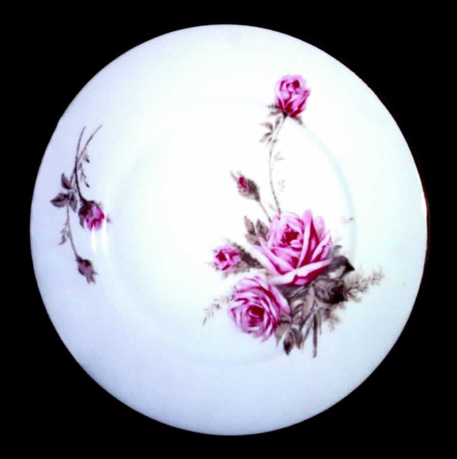 AHR358 Dinner Plate by Charles Ahrenfeldt-1