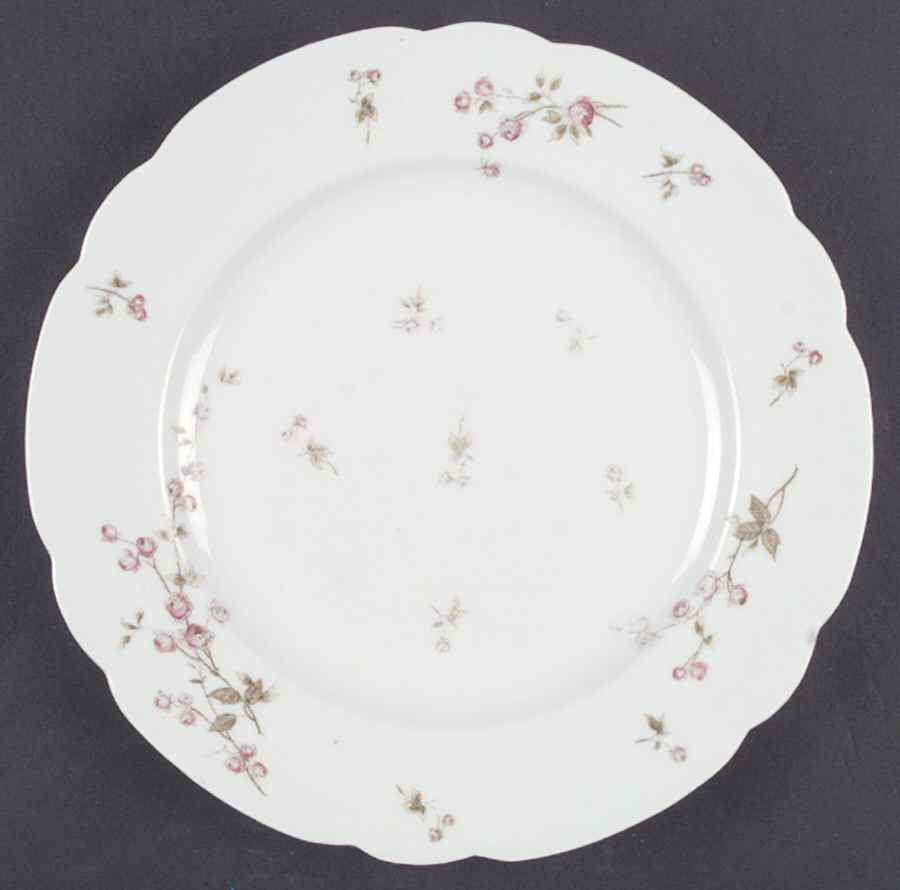 2239 Dinner Plate by Austria-1
