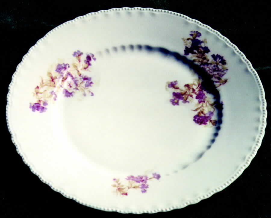 VTO25 Dinner Plate by Victoria (Austria)-1