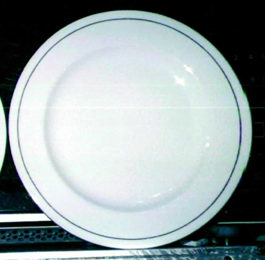 ASX1 Dinner Plate by Astra-1