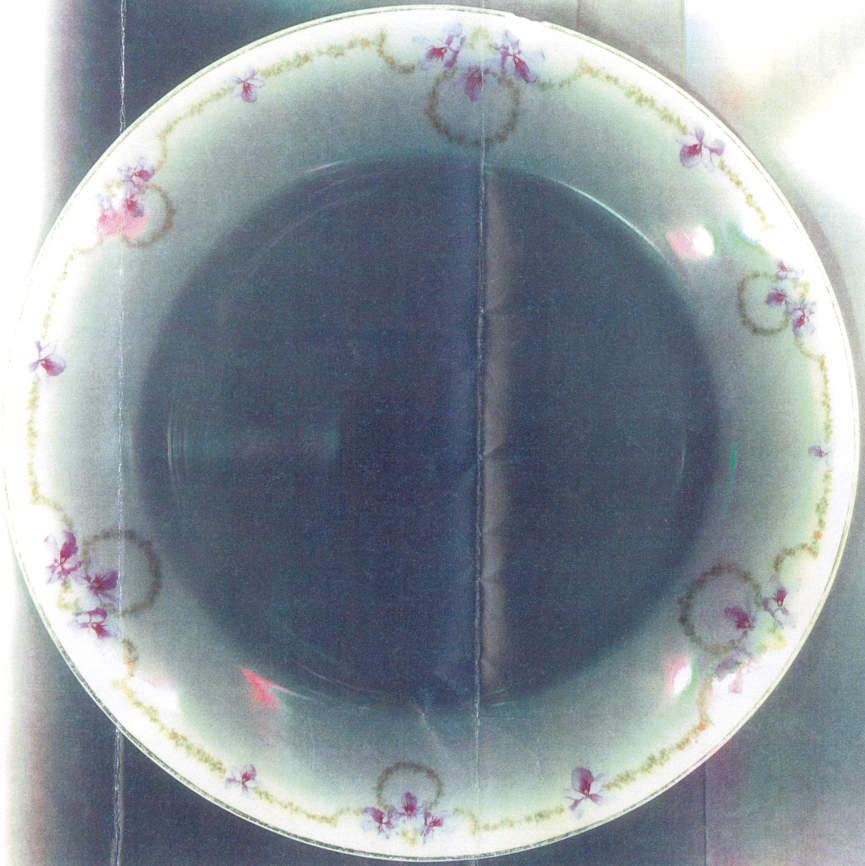 AUS217 Dinner Plate by Austria-1