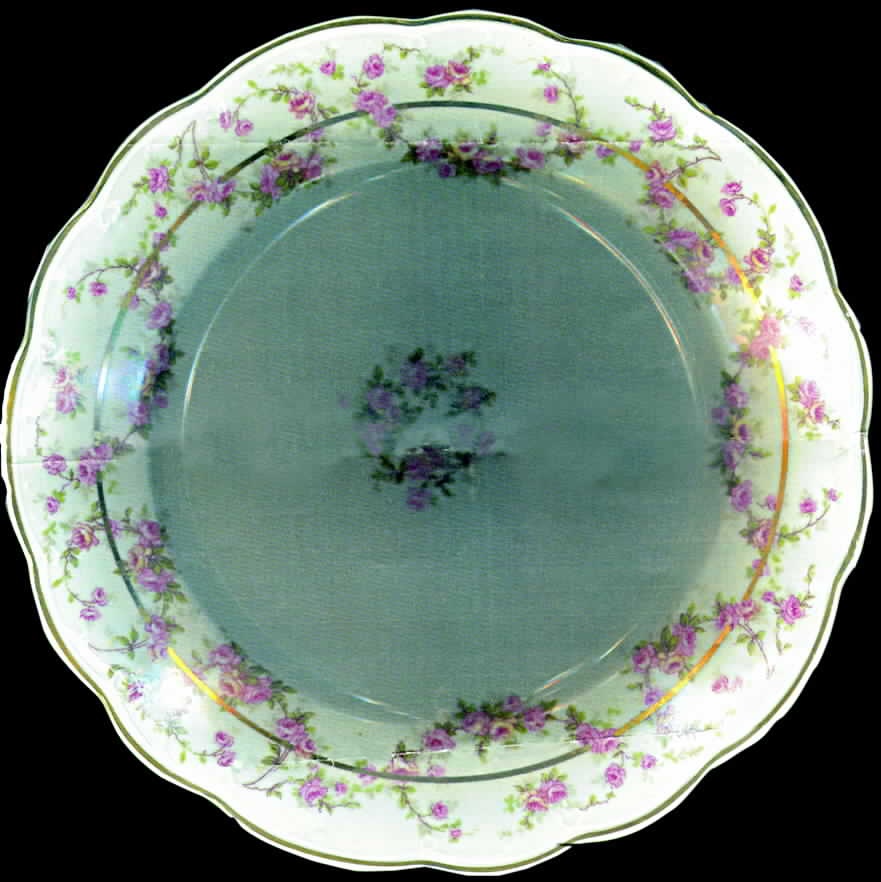 ALT228 Dinner Plate by Altrohlau-1
