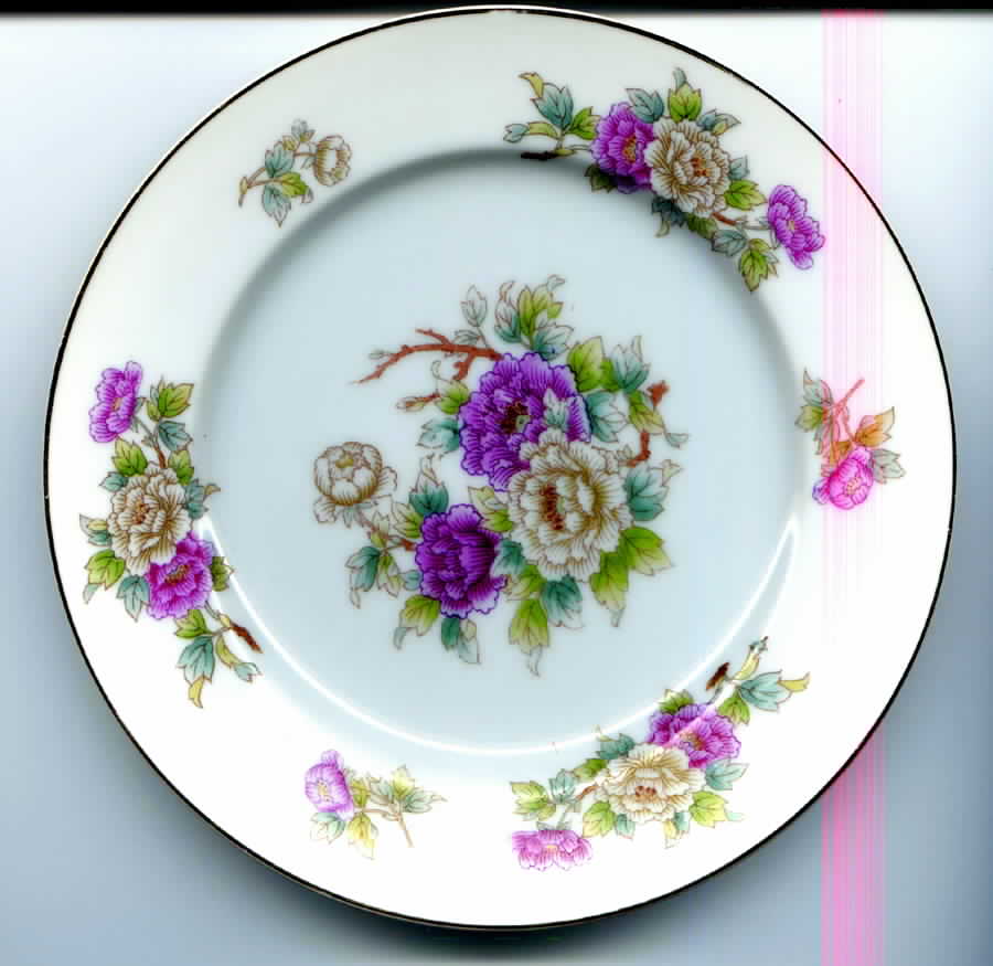 ALB13 Dinner Plate by Albion-Japan-1