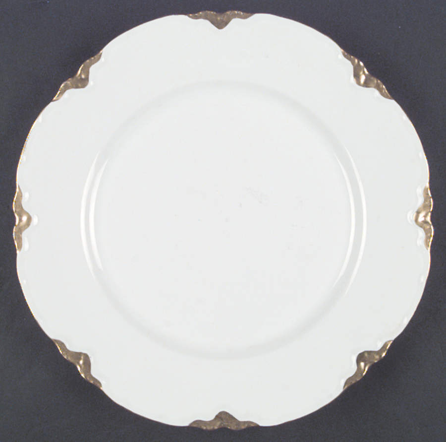 AUS89A Dinner Plate by Austria-1