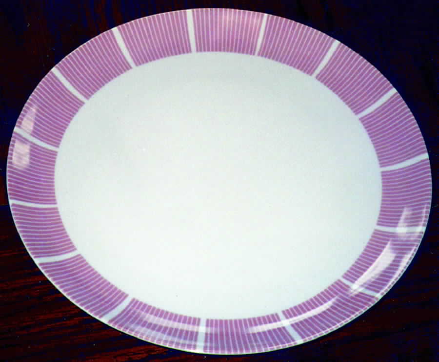 ARZ79 Dinner Plate by Arzberg-1