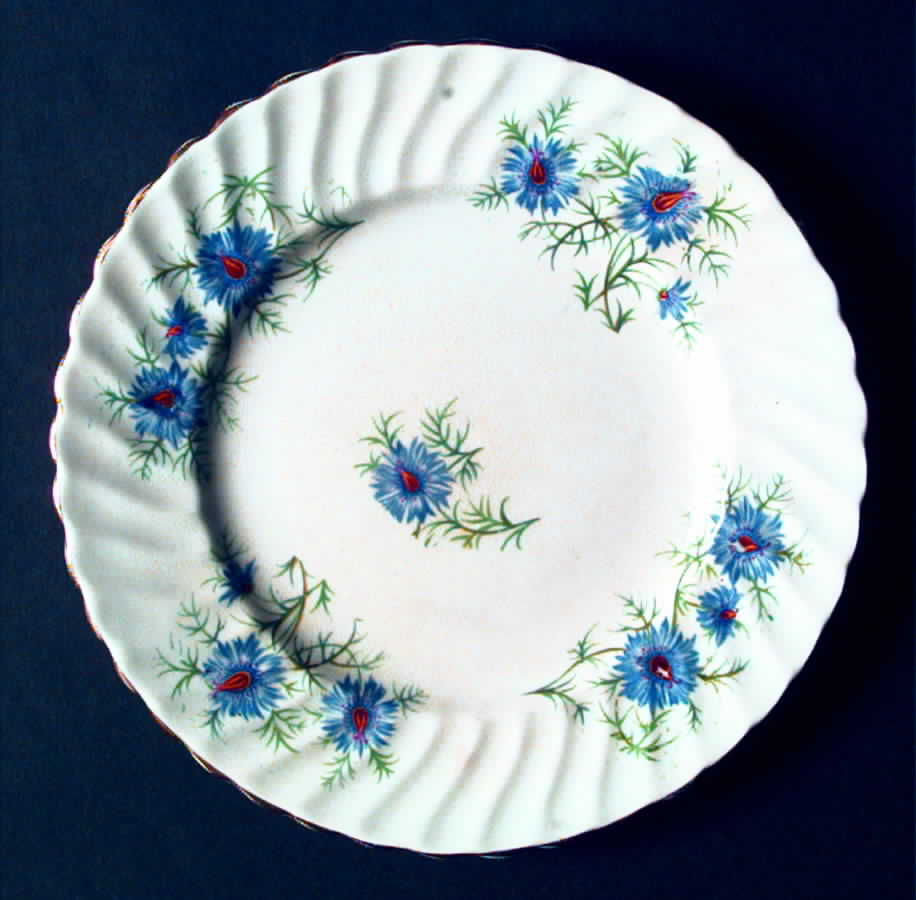 C266 Salad Plate by John  Aynsley & Sons-1