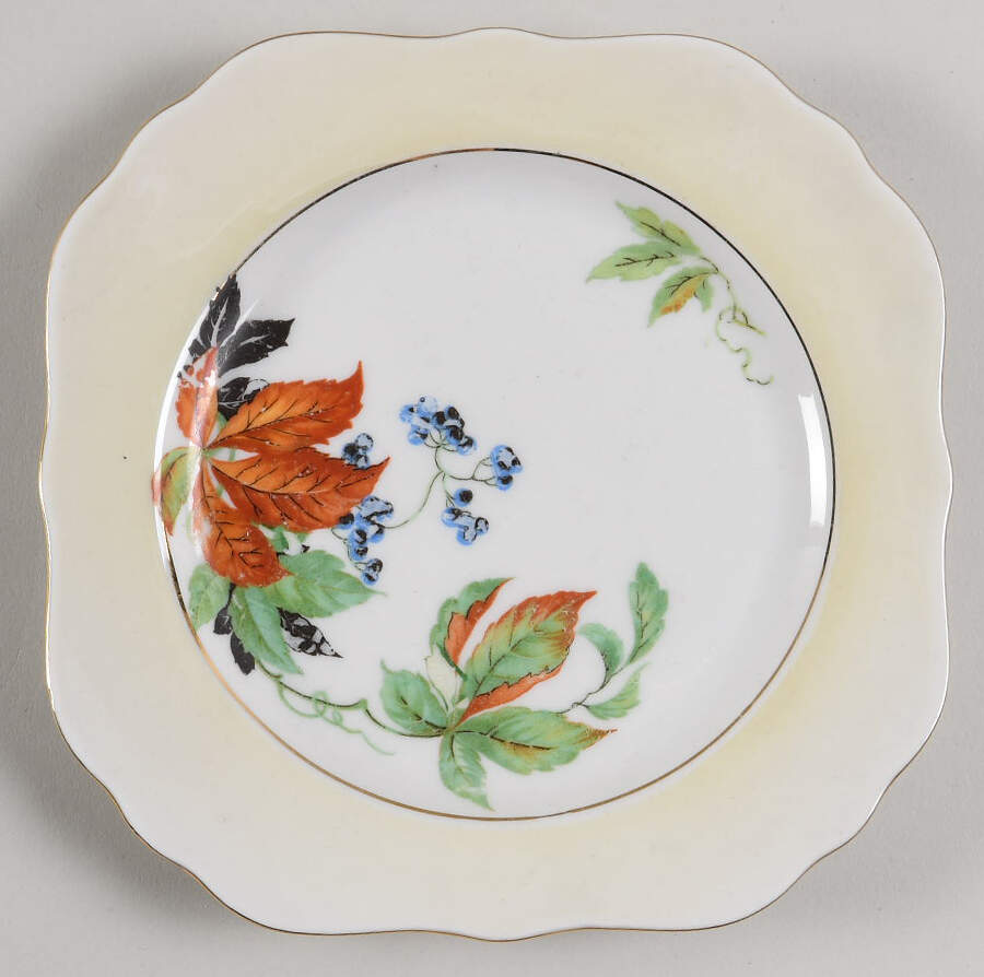 ACC7 Square Salad Plate by Amc China-Germany-1