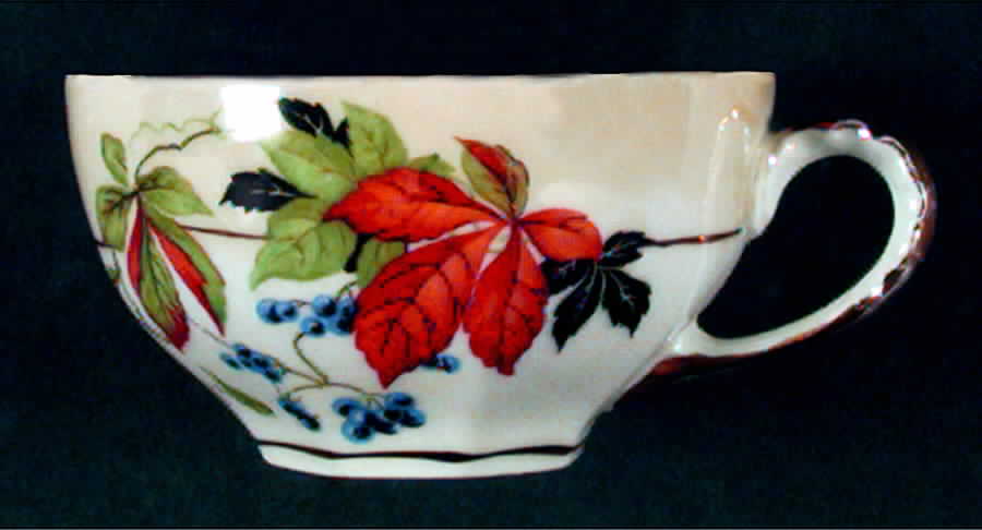 ACC7 Flat Cup by Amc China-Germany-1