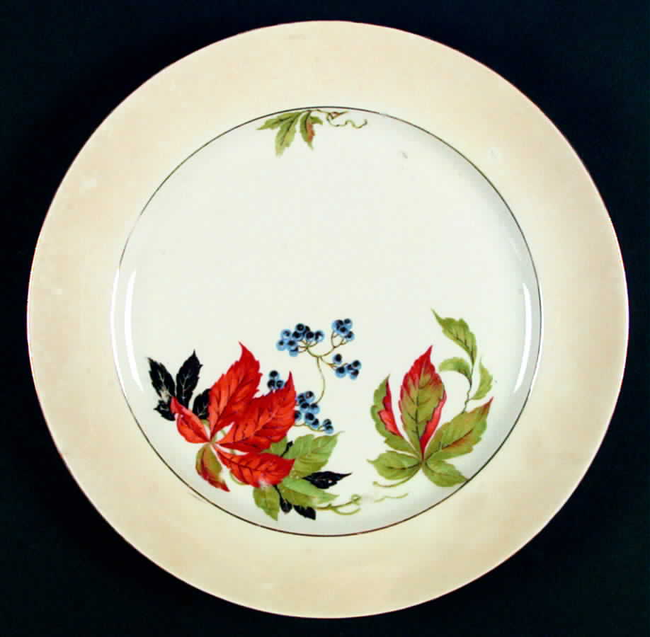 ACC7 Dinner Plate by Amc China-Germany-1