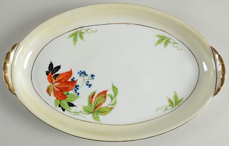 ACC7 12" Oval Serving Platter by Amc China-Germany-1