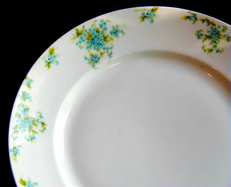 ALT245 Dinner Plate by Altrohlau-1