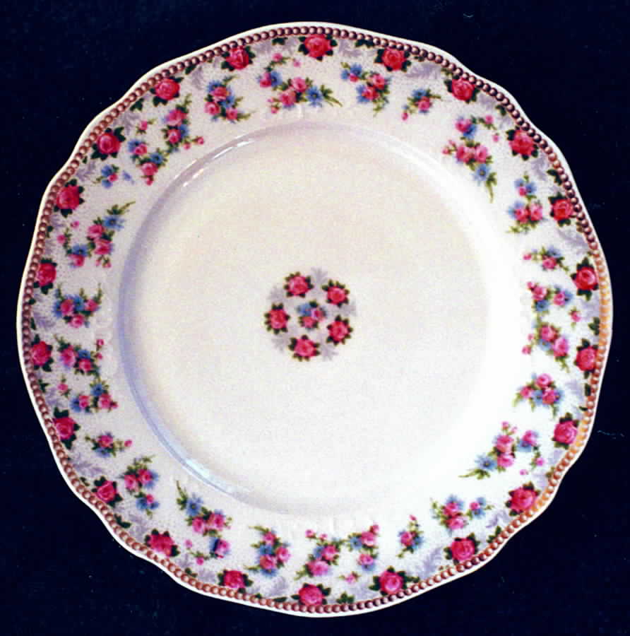 AHR401 Dinner Plate by Charles Ahrenfeldt-1