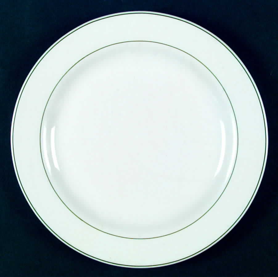ARP13 Dinner Plate by Arcopal-1