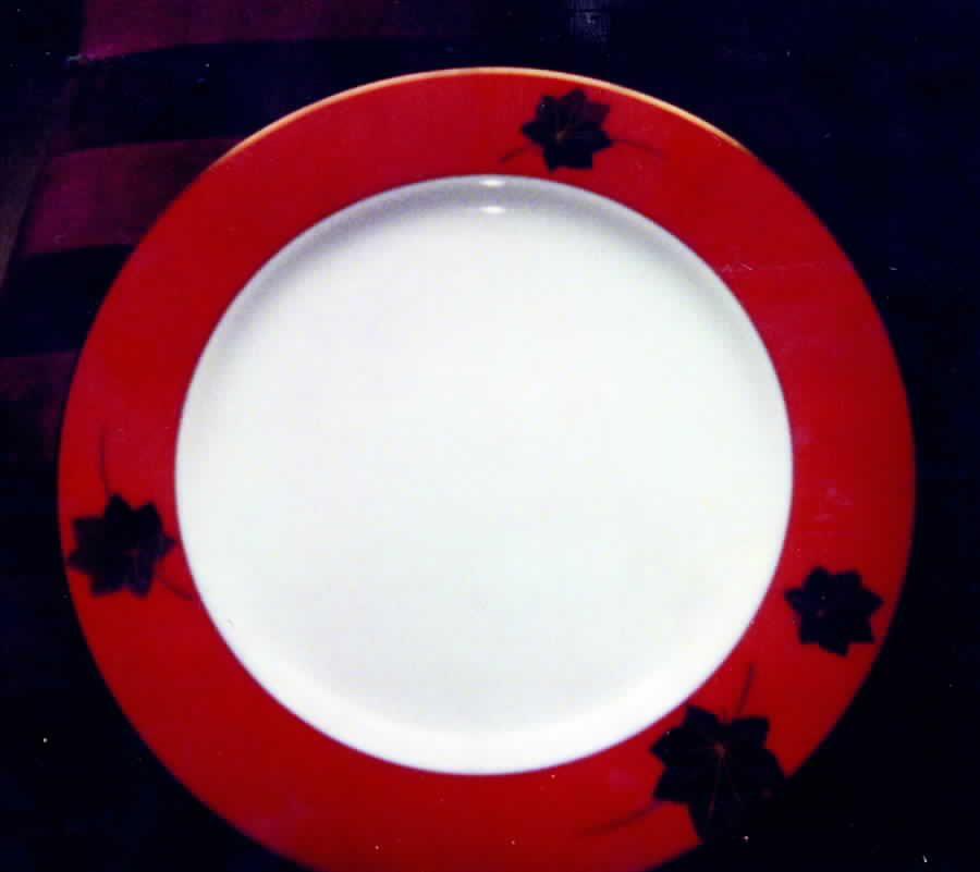 Image Dinner Plate by Arita-1