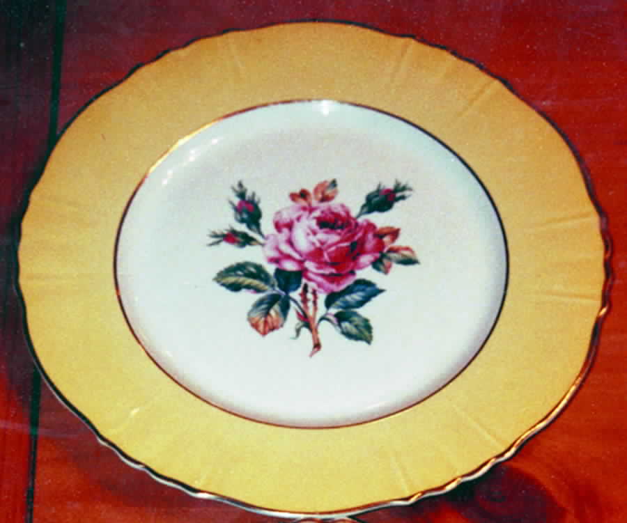 ABE25 Dinner Plate by Aberdeen-1