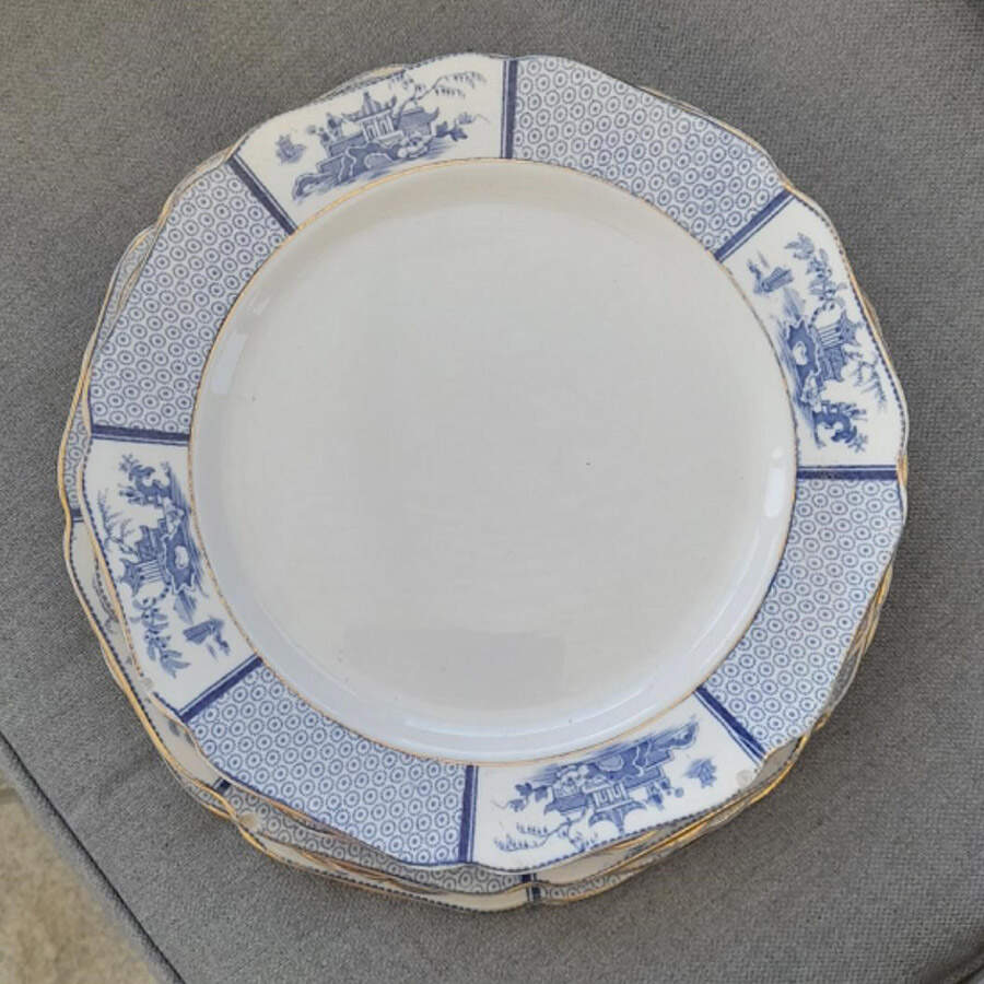 Pavilion Dinner Plate by Allerton's-1