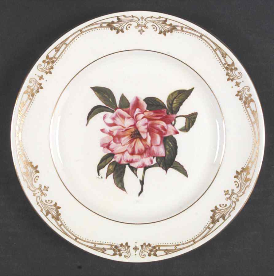 Chelsea Gold Accent Salad Plate by John  Aynsley & Sons-1
