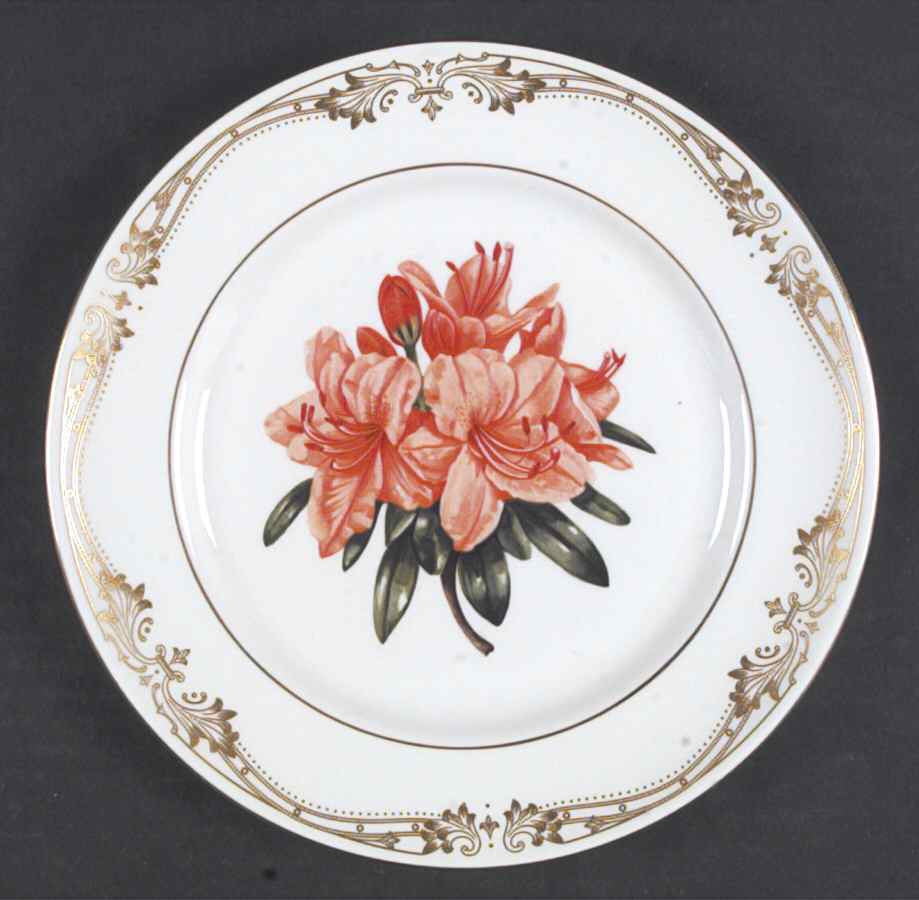 Chelsea Gold Accent Salad Plate by John  Aynsley & Sons-1
