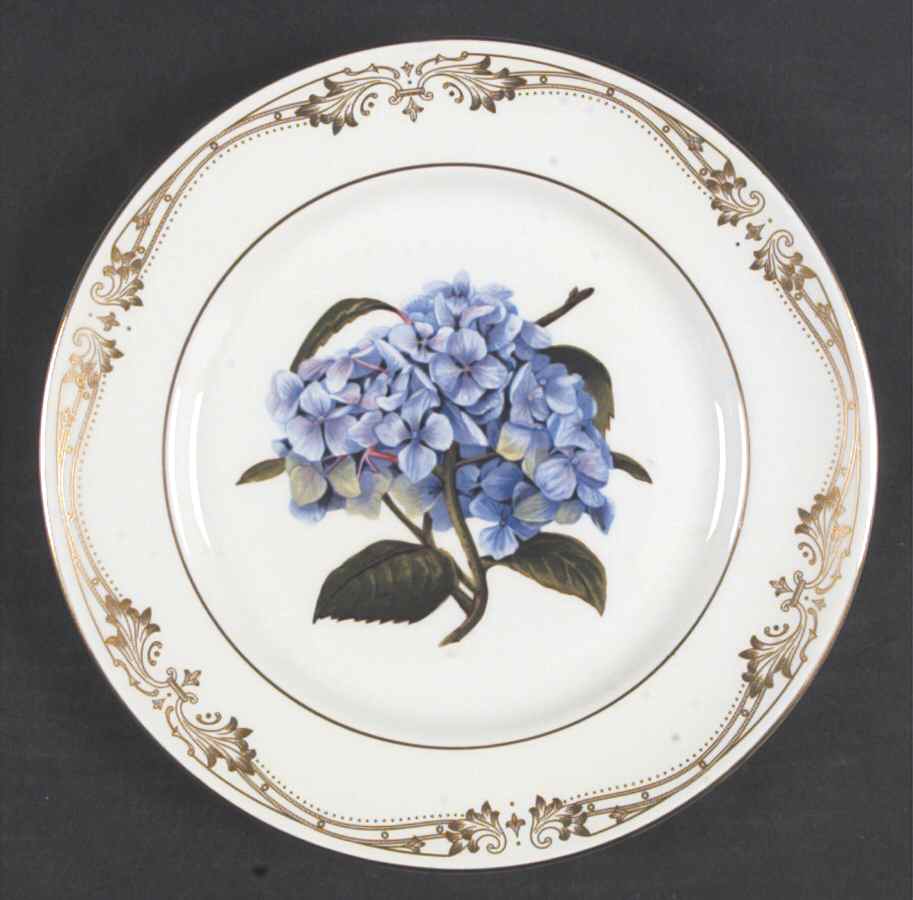 Chelsea Gold Accent Salad Plate by John  Aynsley & Sons-1
