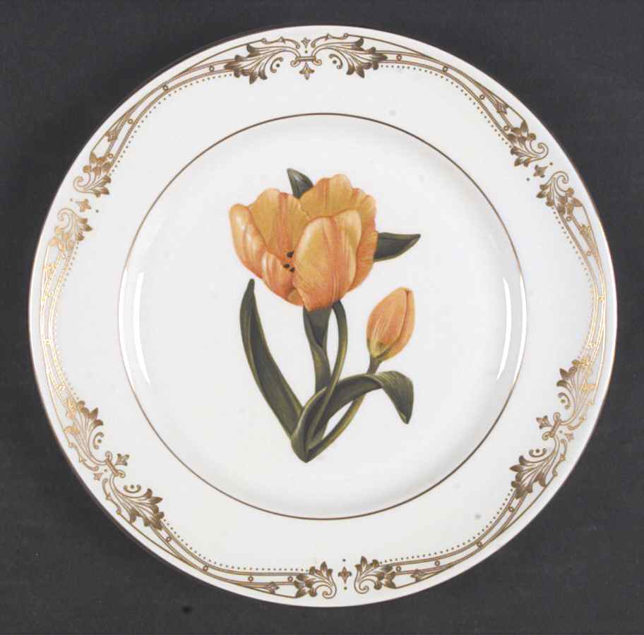 Chelsea Gold Accent Salad Plate by John  Aynsley & Sons-1