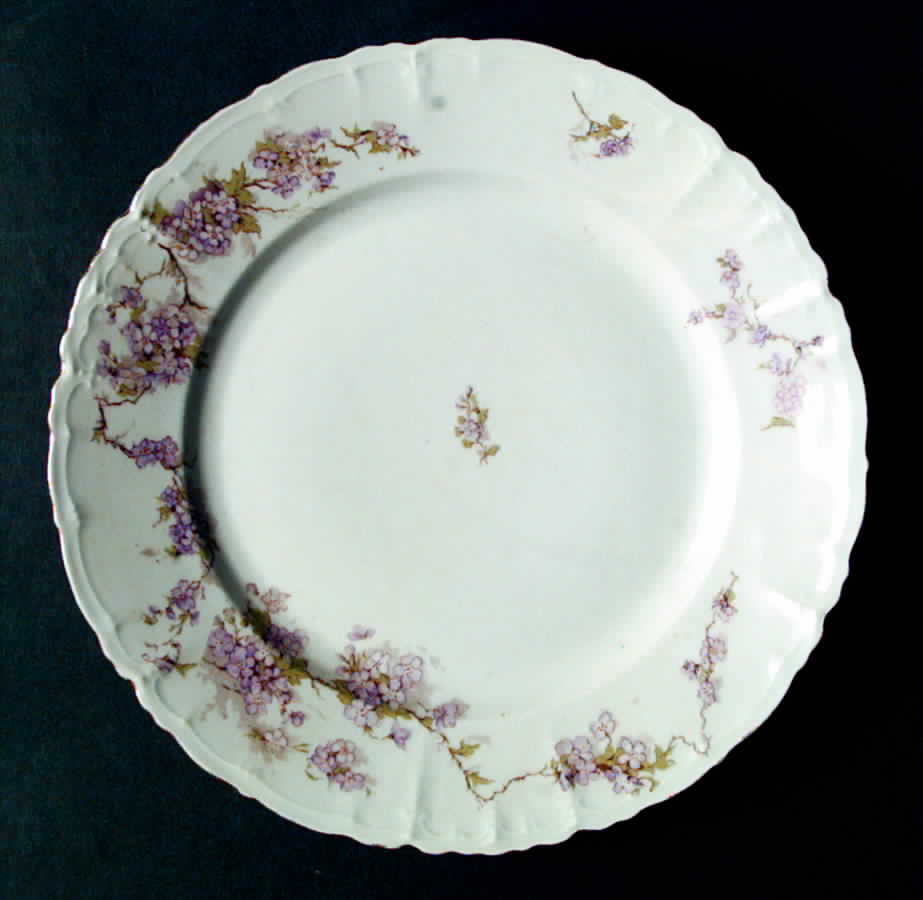 ALT253 Dinner Plate by Altrohlau-1