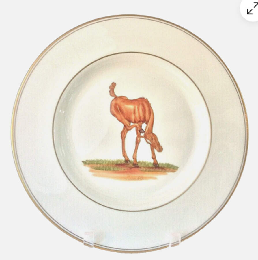 ABM1 Dinner Plate by Abercrombie & Fitch-1