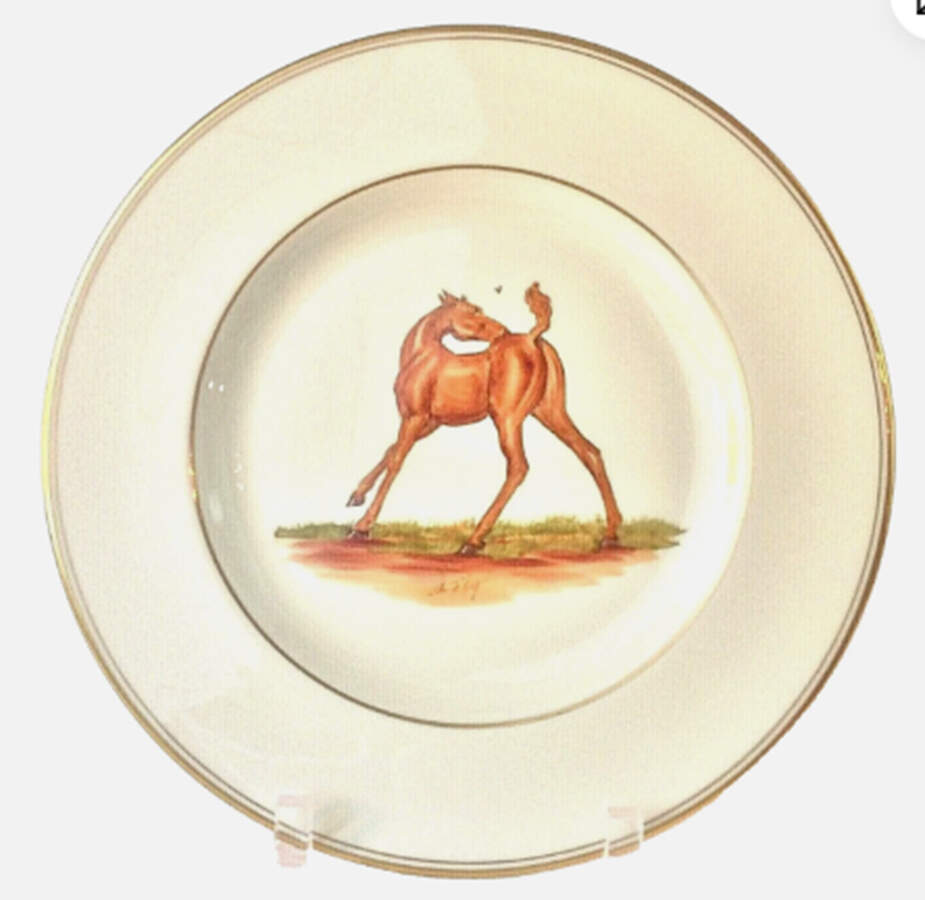 ABM1 Dinner Plate by Abercrombie & Fitch-1