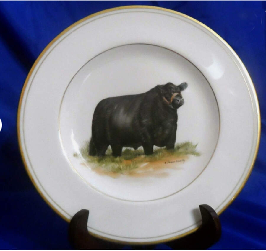 ABM1 Dinner Plate by Abercrombie & Fitch-1