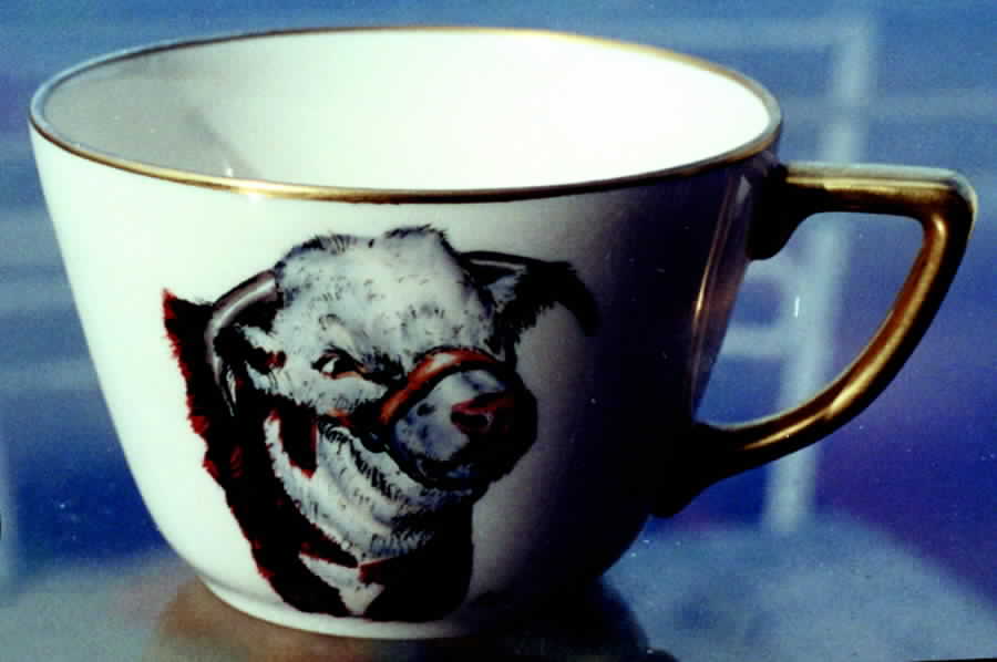 ABM1 Flat Cup by Abercrombie & Fitch-1