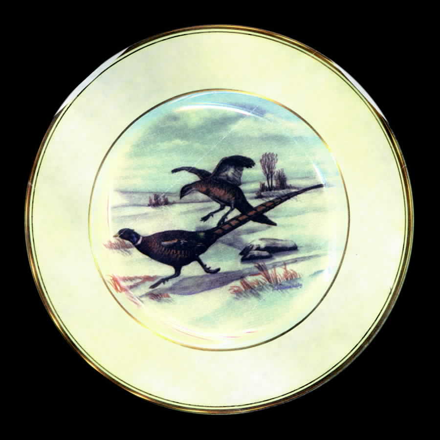 ABM2 Dinner Plate by Abercrombie & Fitch-1