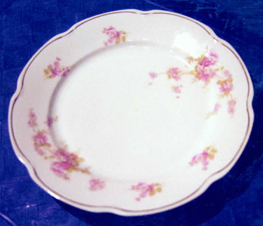 AUS245 Dinner Plate by Austria-1