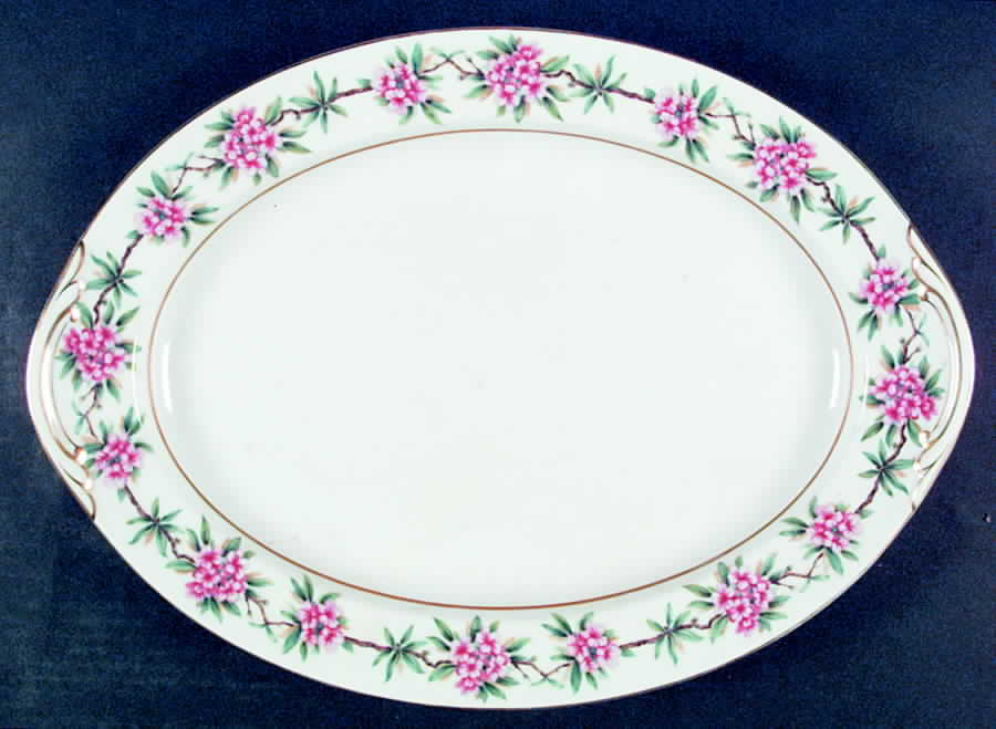 Malibu 17" Oval Serving Platter by Aichi-1
