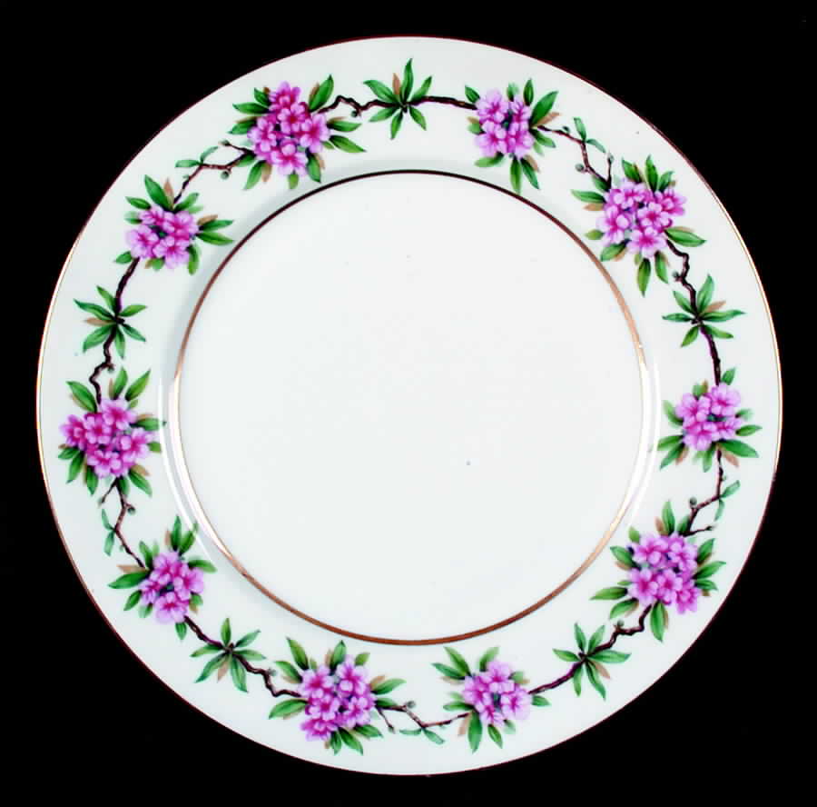 Malibu Dinner Plate by Aichi-1