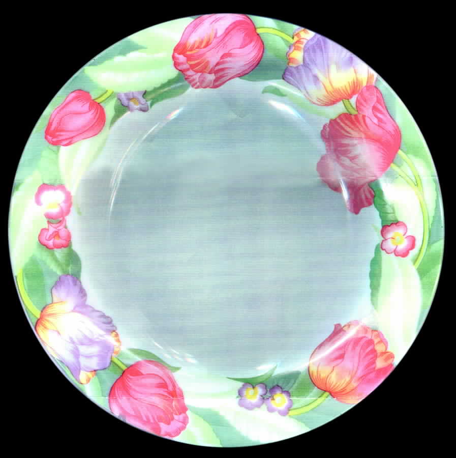 Fantasy Salad Plate by Arcopal-1