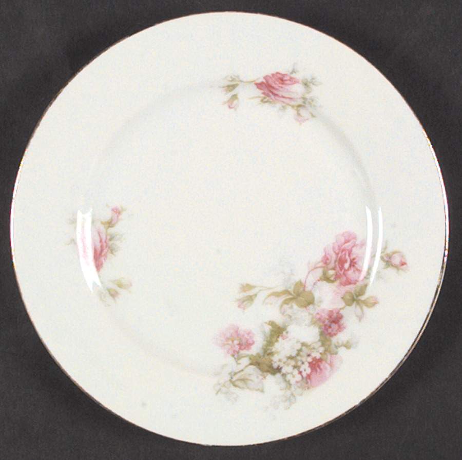 AUS251 Bread & Butter Plate by Austria-1