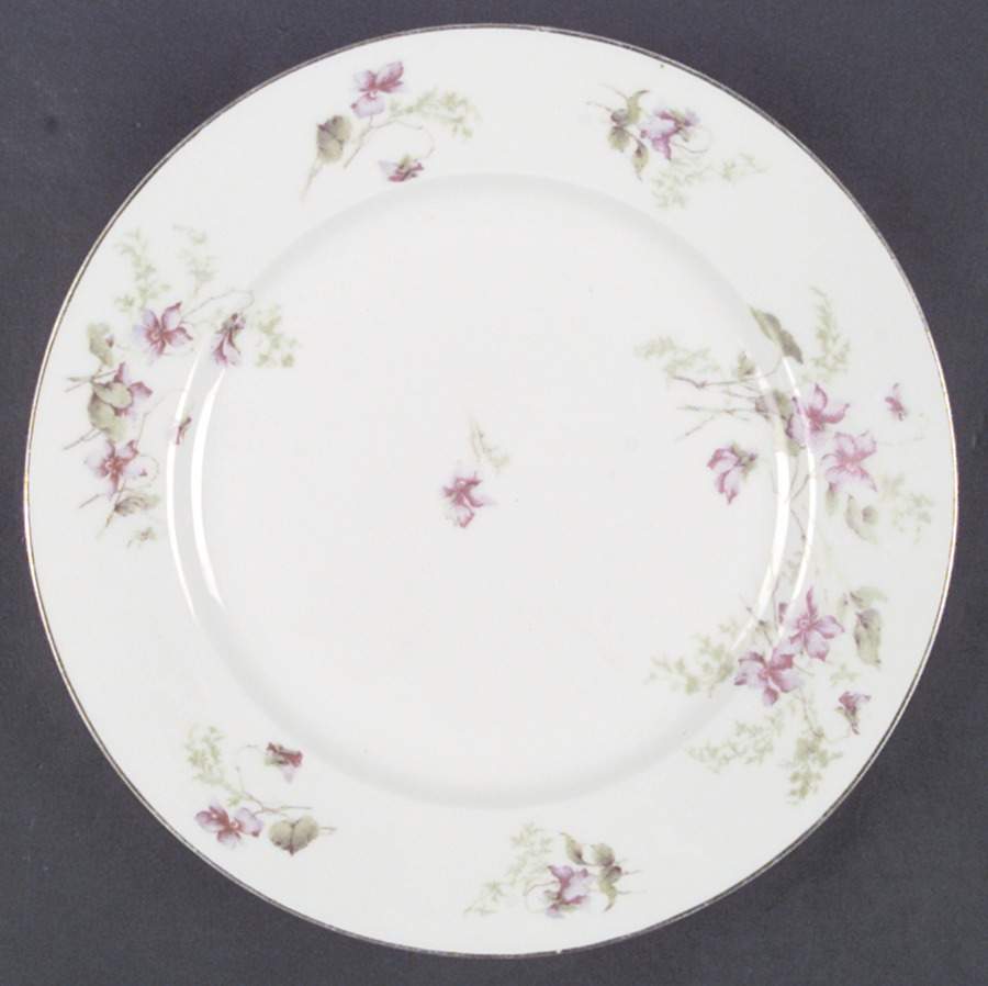 ALT269 Dinner Plate by Altrohlau-1