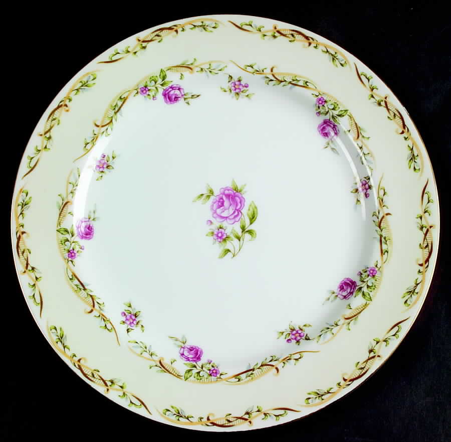 ALA19 Dinner Plate by Aladdin-1