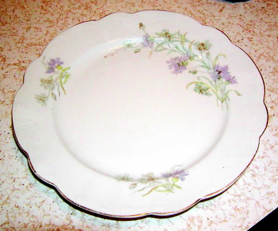 AUS256 Dinner Plate by Austria-1