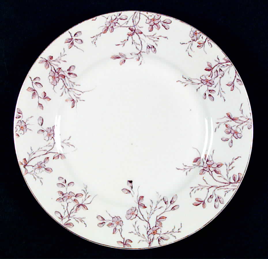AUS257 Salad Plate by Austria-1