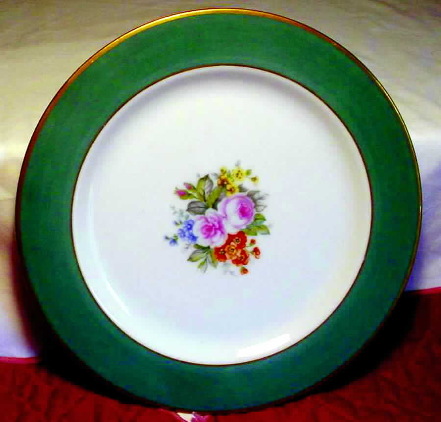Ambassador Dinner Plate by Aladdin-1