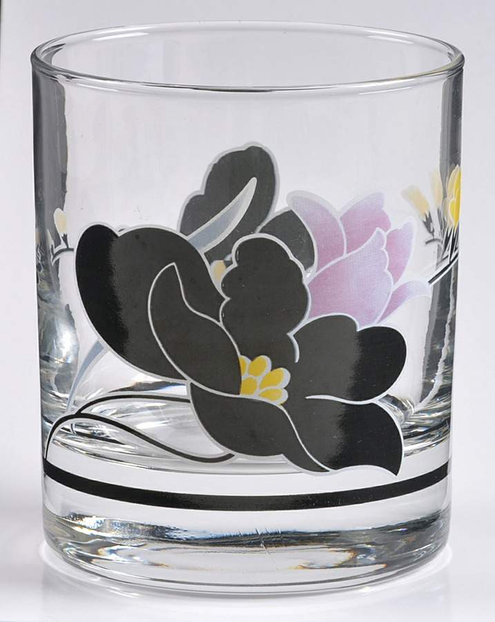 Anais Glassware Double Old Fashioned by Arcopal-1