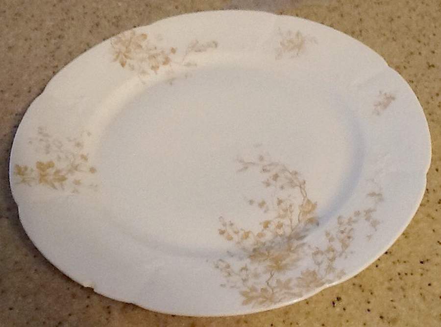 AUS260 Dinner Plate by Austria-1