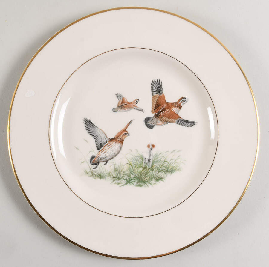 ABM4 Dinner Plate by Abercrombie & Fitch-1