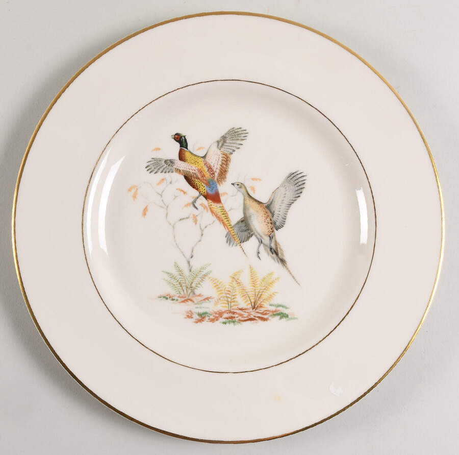 ABM4 Dinner Plate by Abercrombie & Fitch-1