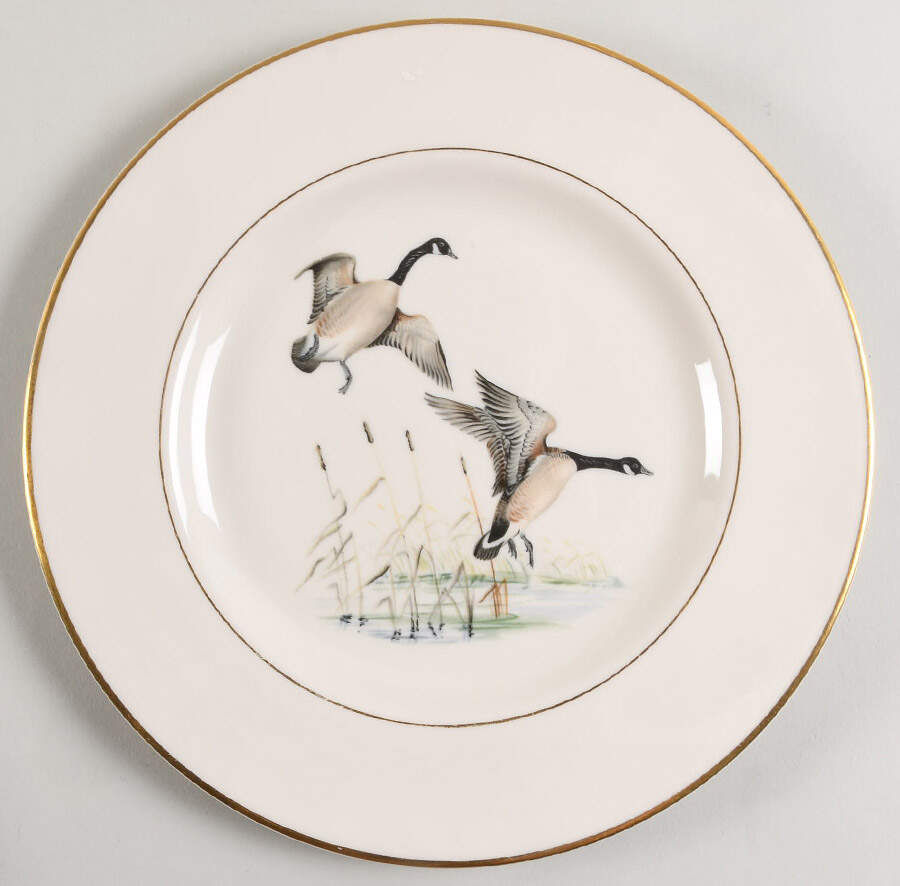 ABM4 Dinner Plate by Abercrombie & Fitch-1