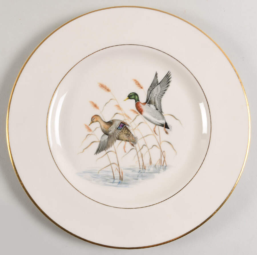 ABM4 Dinner Plate by Abercrombie & Fitch-1
