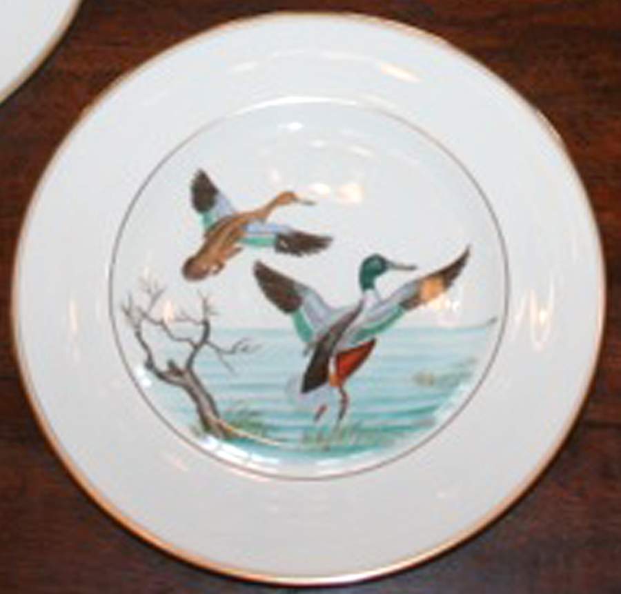 ABM4 Dinner Plate by Abercrombie & Fitch-1
