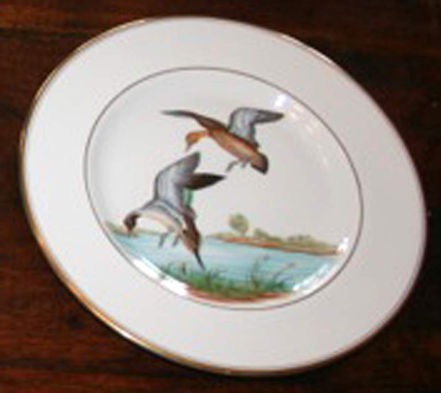 ABM4 Dinner Plate by Abercrombie & Fitch-1